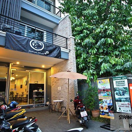 Hostel Stranger House Čiang Mai Exteriér fotografie